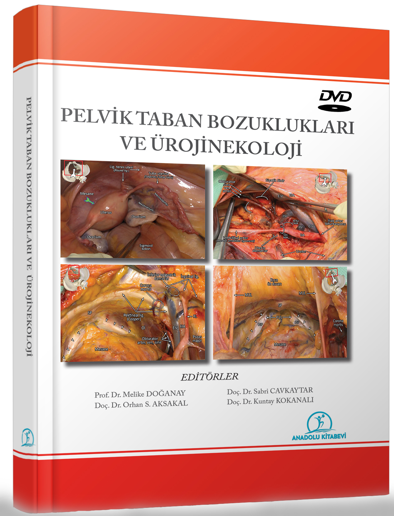 Kadın Pelvik Sağlığı & Rekonstrüktif Cerrahisi